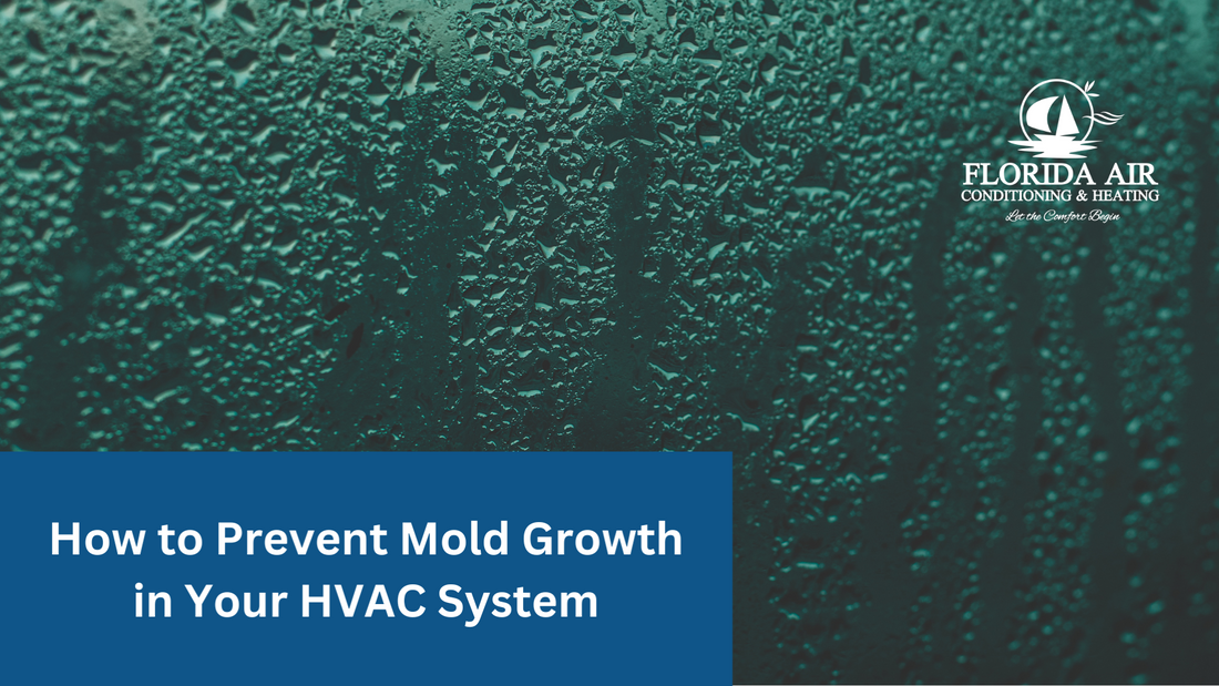 How to Prevent Mold Growth in Your HVAC System