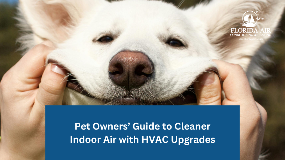 Pet Owners’ Guide to Cleaner Indoor Air with HVAC Upgrades