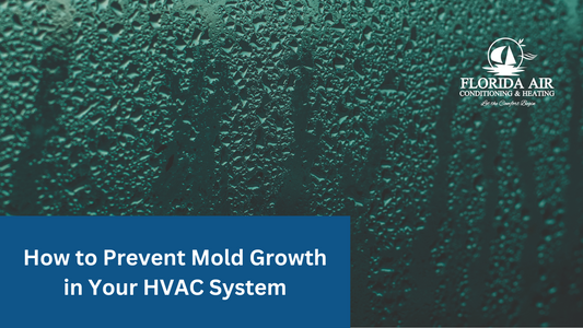 How to Prevent Mold Growth in Your HVAC System