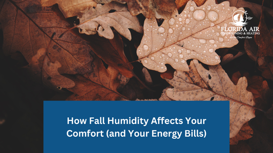 How Fall Humidity Affects Your Comfort (and Your Energy Bills)