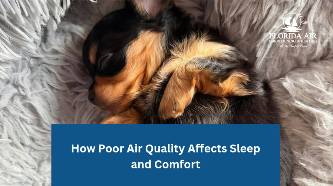 How Poor Air Quality Affects Sleep and Comfort