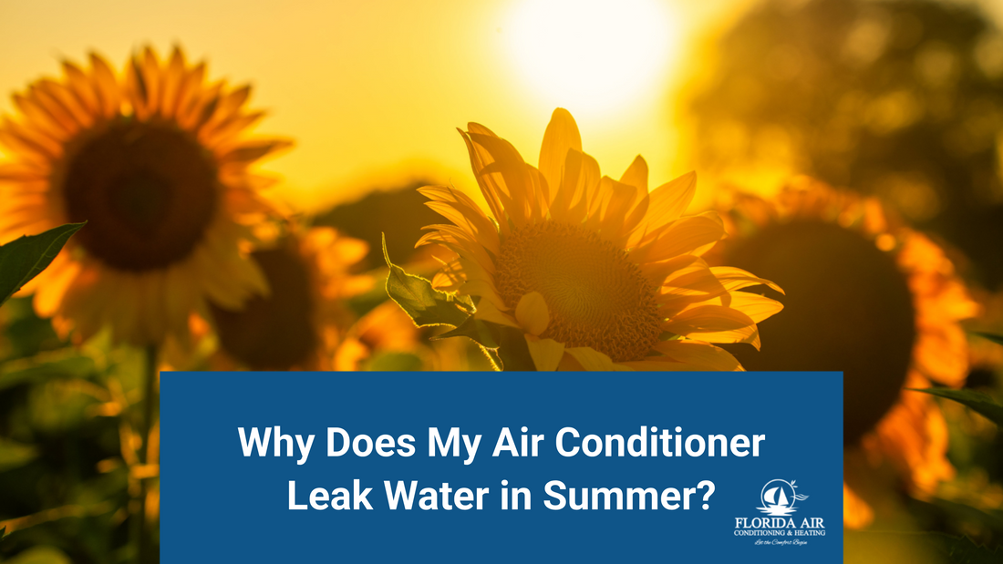 Why Does My Air Conditioner Leak Water in Summer?